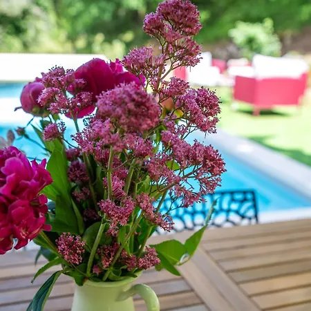 B&B Le Domaine Sainte Raffine, Piscine, Charme Et Insolite