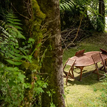Le Domaine Sainte Raffine, Piscine, Charme Et Insolite B&B Belveze